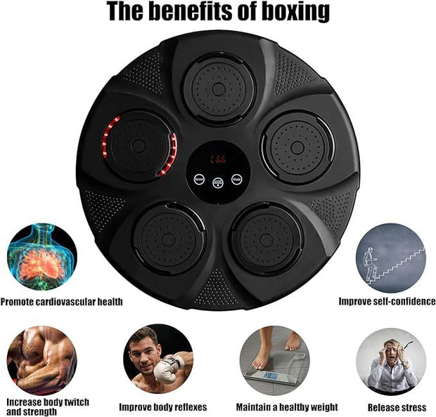 Music Boxing Target Training Wall Fitness